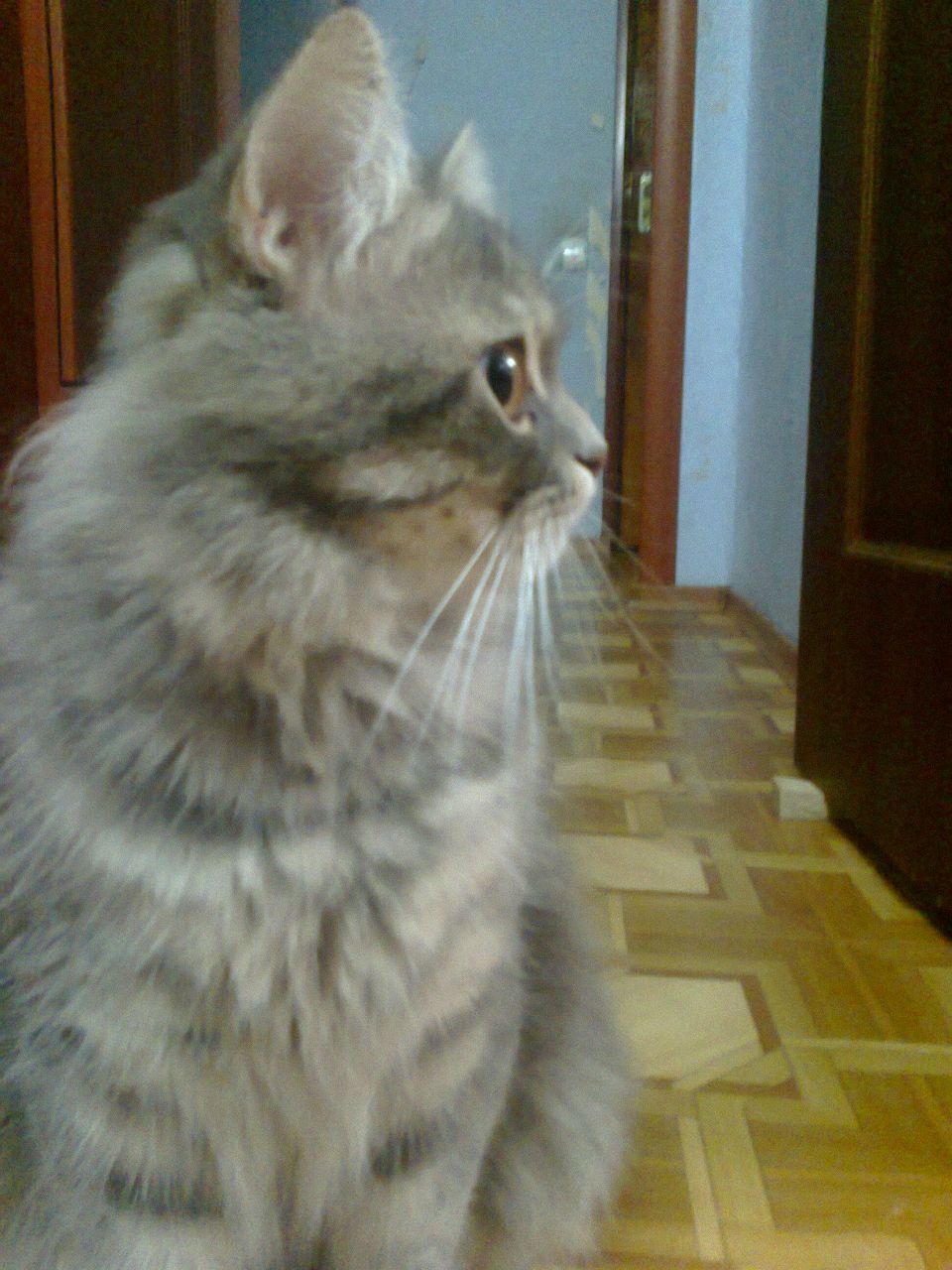 Анастасия Мамонова | Днепр (Днепропетровск)