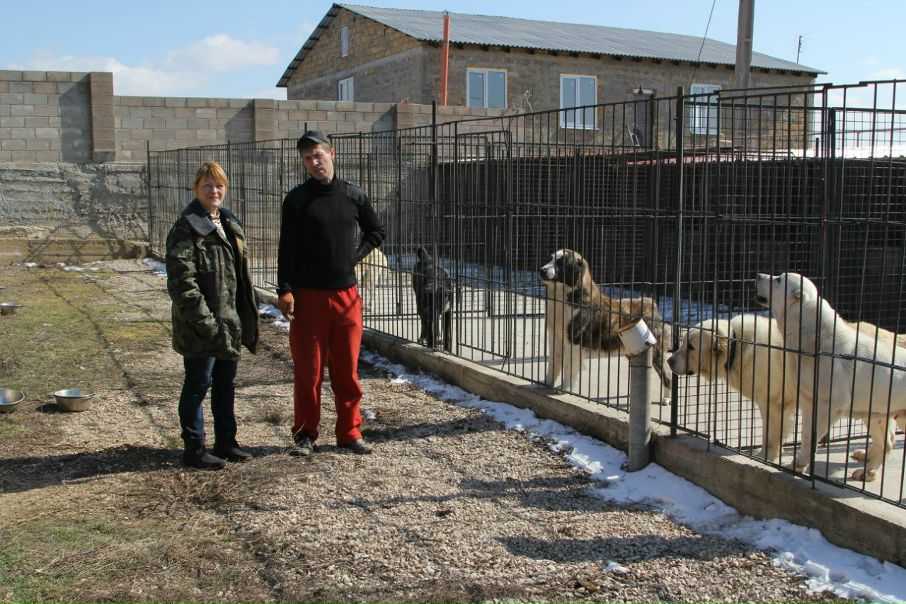 №82, Руслан Гордеев, Львов №82, Руслан Гордеев, Львов