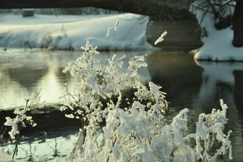 Мария Яхонтова | Иваново