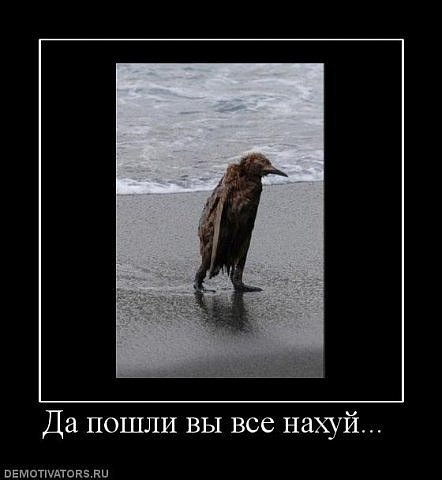 Βиктор Κузьмин фото профиля #3