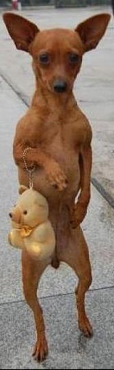 Алеся Сергеева ♥♥♥ | Киев