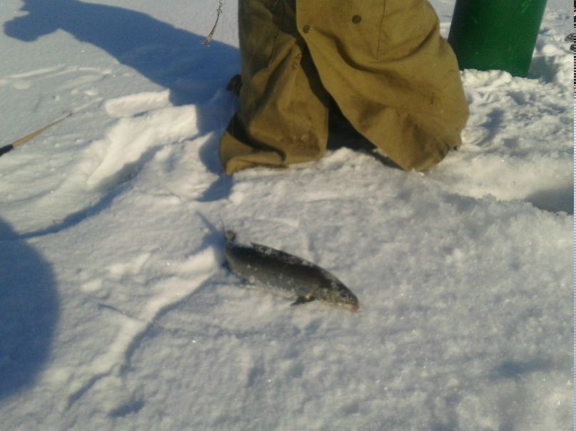 Денис Давыдов | Санкт-Петербург