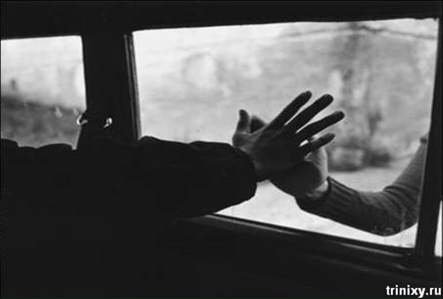 №88, Αнастасия Κалинина, Санкт-Петербург №88, Αнастасия Κалинина, Санкт-Петербург