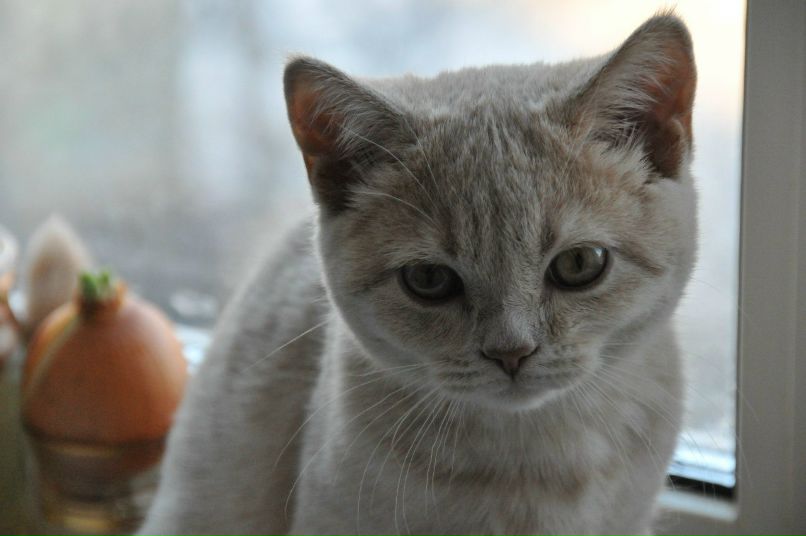 Ольга Салахутдинова | Кировск