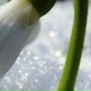 Ольга Чупрыгина | Москва