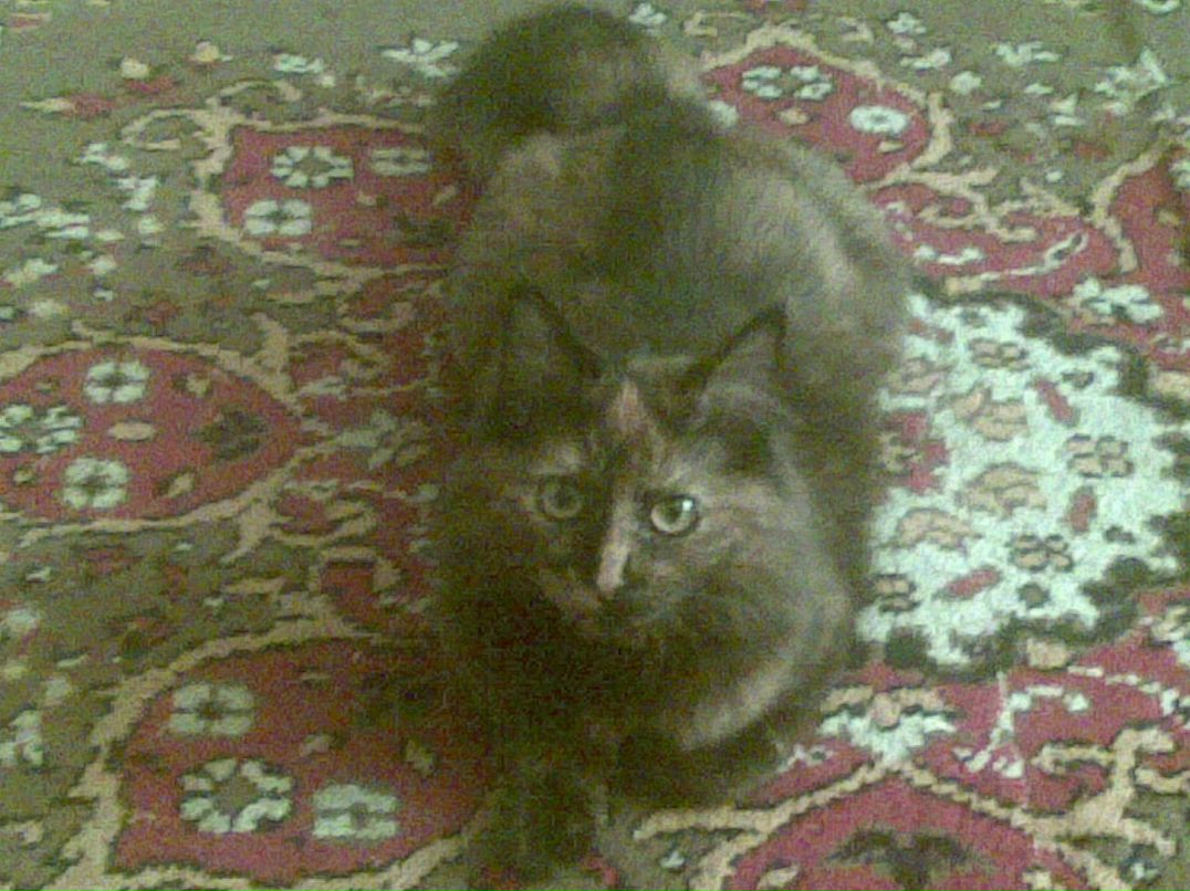 Ксения Зарецкая $$$ KSJUTA $$$ | Гаджиево