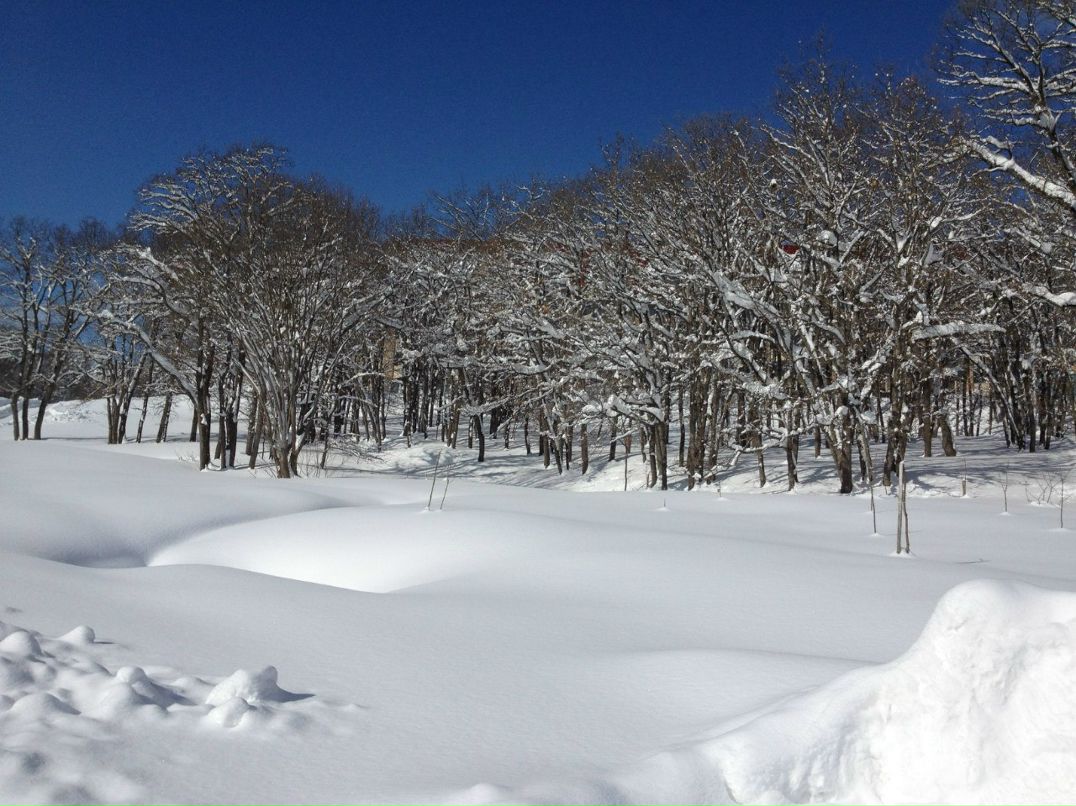 Александр Дудик | Краснодар