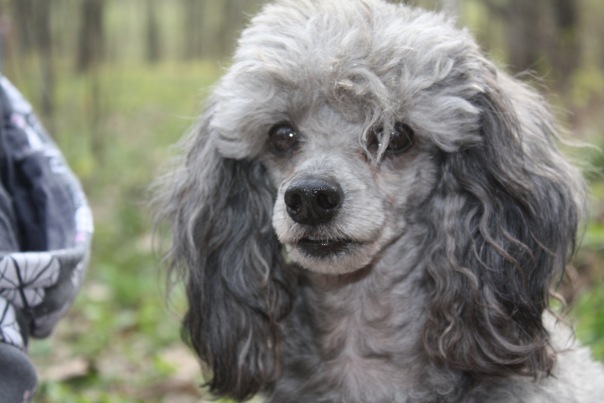 №8, Дмитрий Терновой, 35 лет, Москва №8, Дмитрий Терновой, 35 лет, Москва