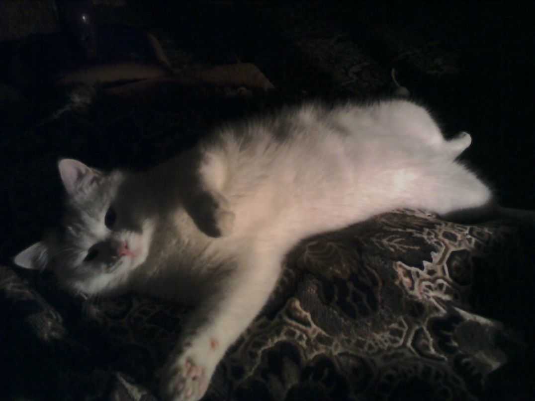 Юлия Рябинина | Кириши