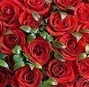 №33 Сафина Фатима : профиль, фото, статус - ВКонтакте