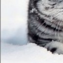 №19, Юлія Онищенко, 27 лет, Черкассы №19, Юлія Онищенко, 27 лет, Черкассы