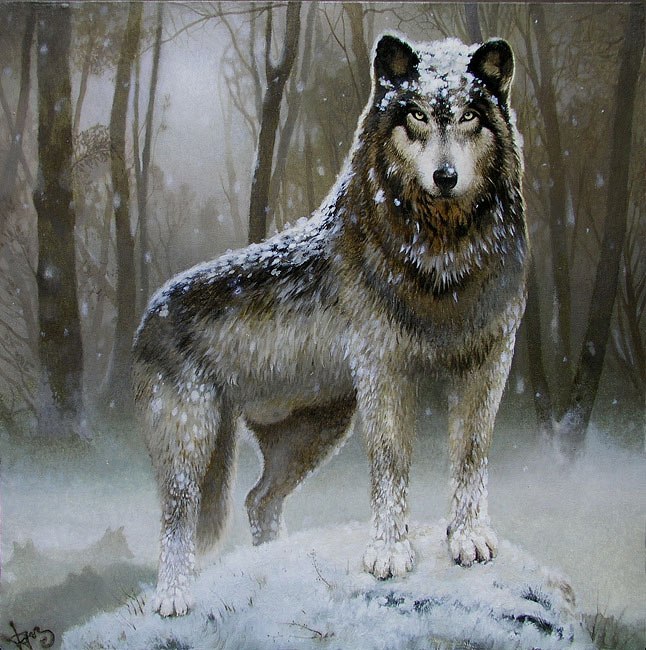 Виктор Никифоров Александрович | Санкт-Петербург