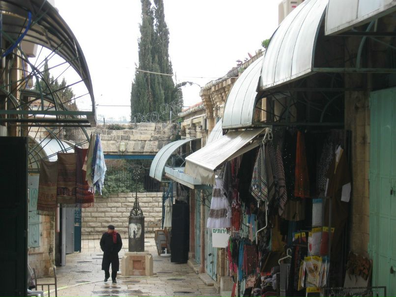 Татьяна Шанина | Санкт-Петербург