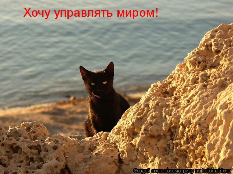 Пашка Комлевой | Санкт-Петербург