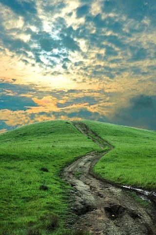 Юрий Линевский | Саперное