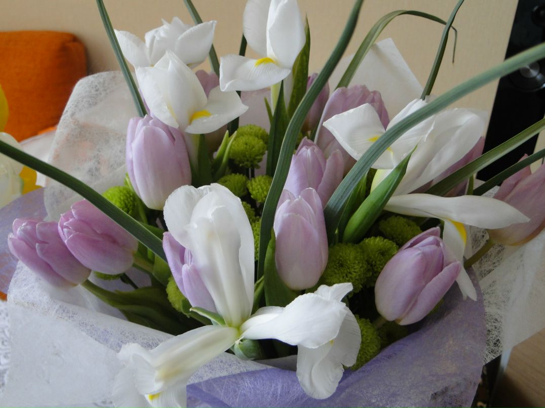 Евгения Васильева | Таганрог