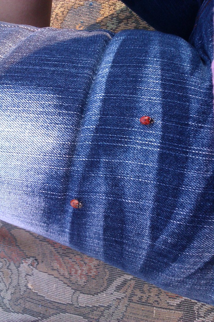 Галина Опанасюк Nikolaevna | 