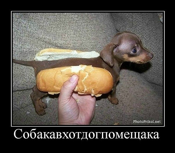 Семен Качалов | Нижний Новгород