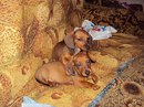 Фотография Марченковой Елены