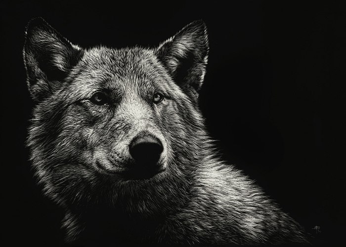 Андрей Сечкарев | Санкт-Петербург