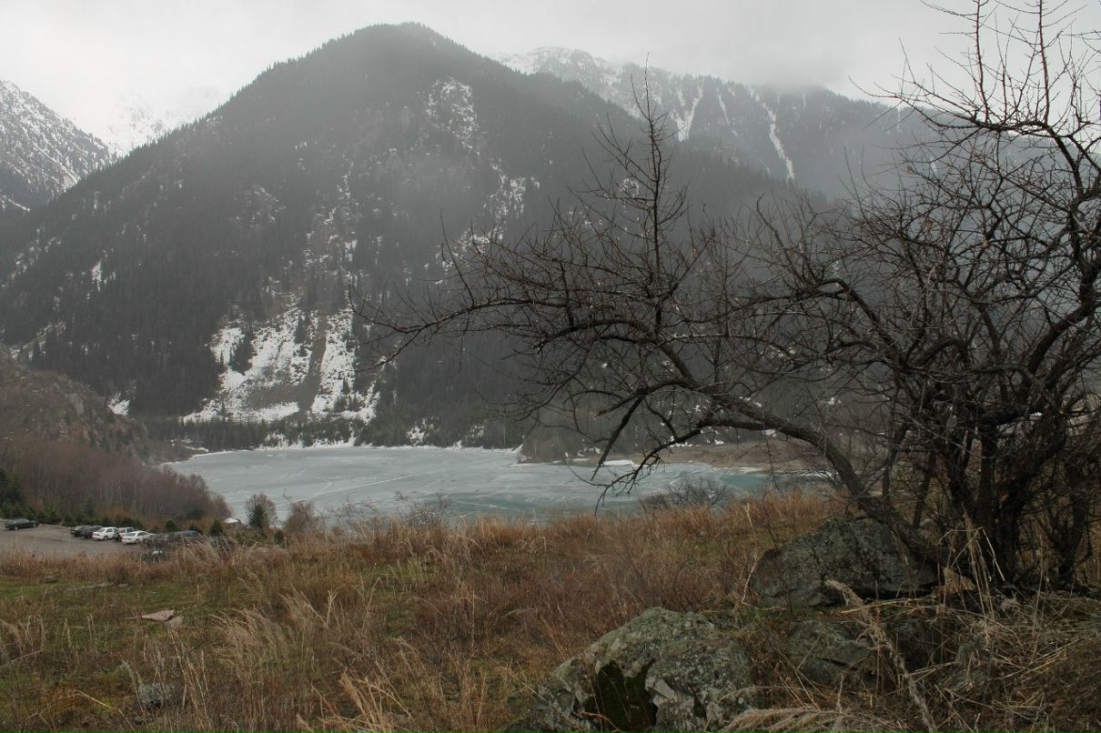 Николай Шмидт Михалыч | Алматы