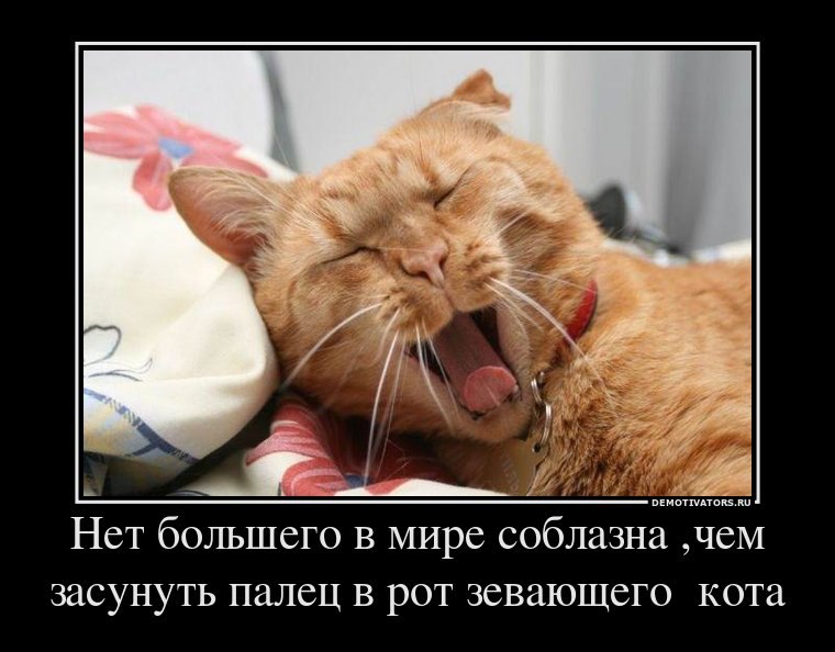 Александр Ребрин | Воронеж