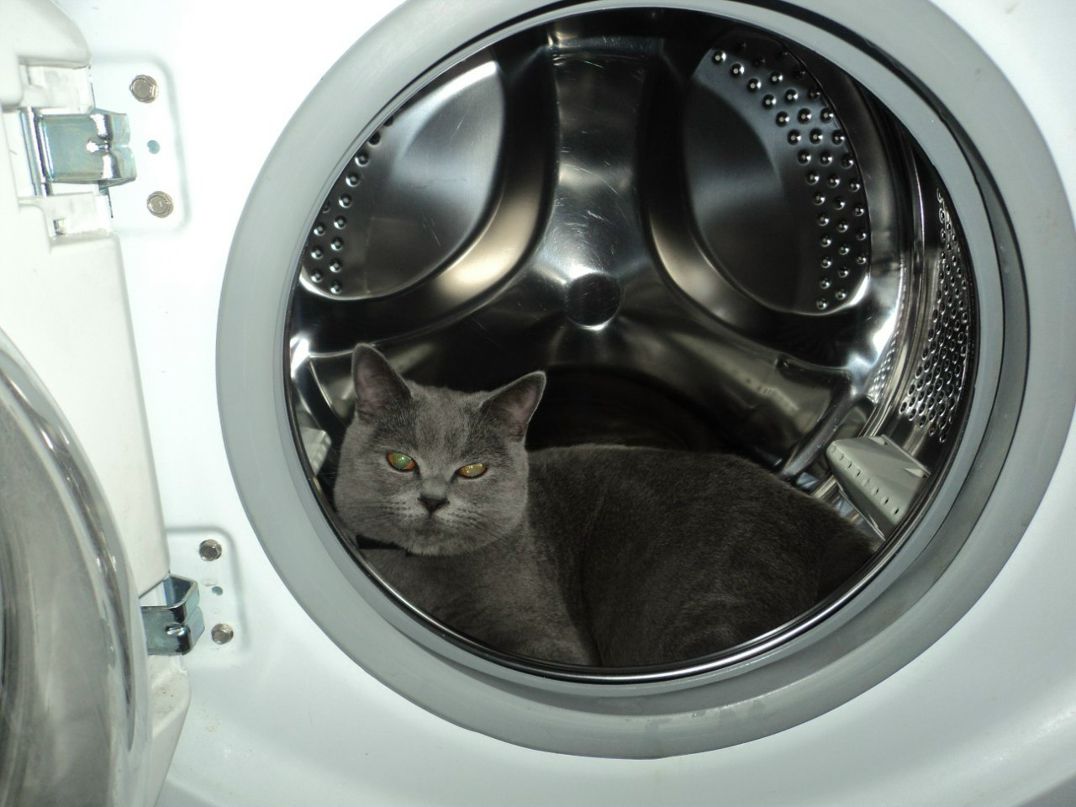 Денис Полозов | Клинцы