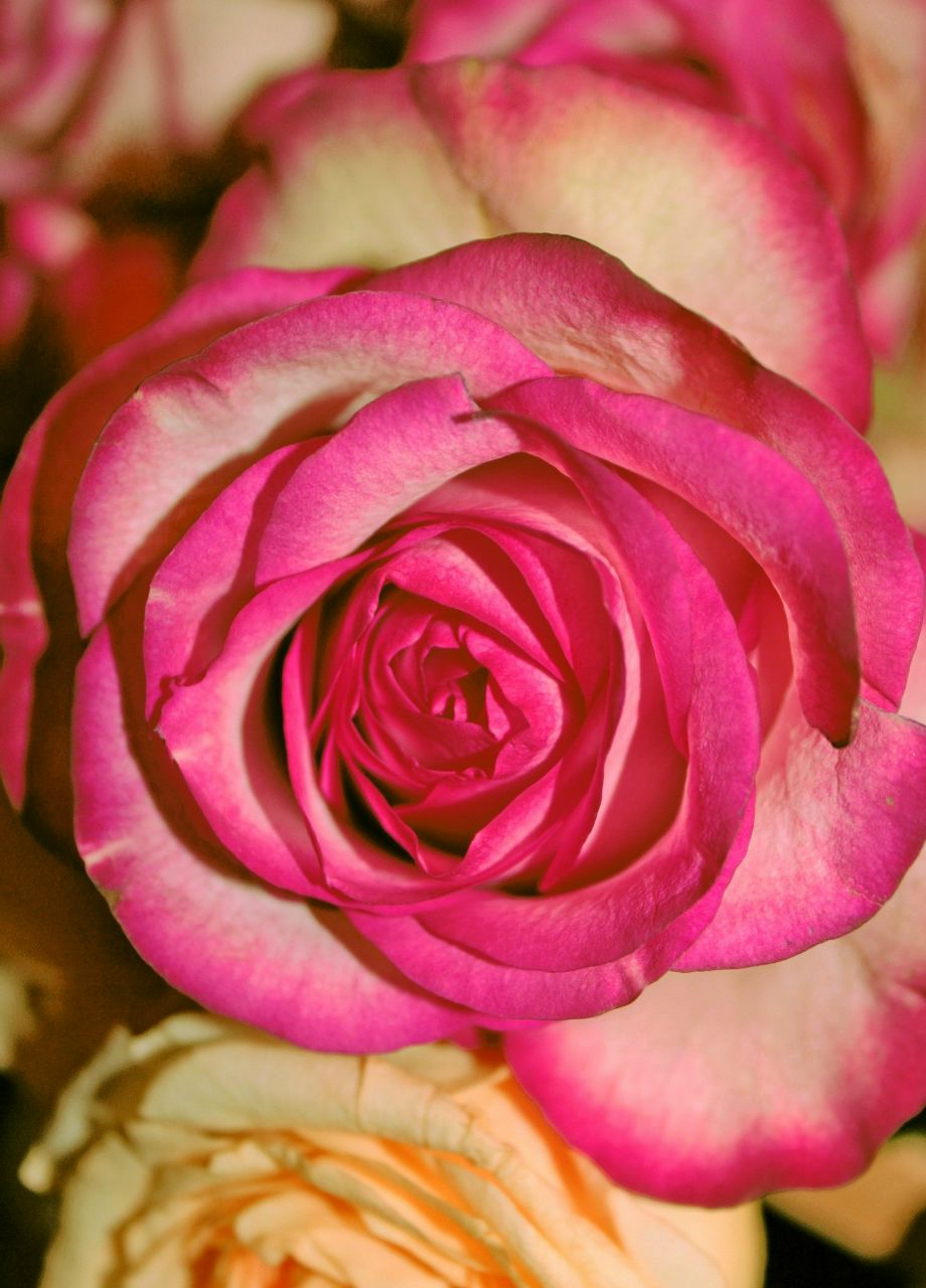 Ольга Савельева | Воронеж