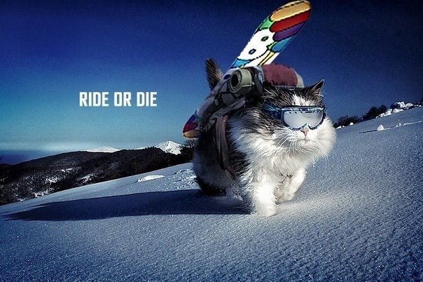 Тимур Зайнуллин | Уфа