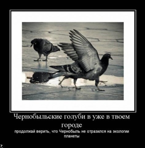 №86, Дмитрий Панасюк, 26 лет, Тольятти №86, Дмитрий Панасюк, 26 лет, Тольятти