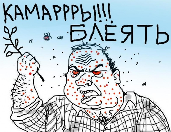 №50, Максим Носов, Нижний Новгород, Россия №50, Максим Носов, Нижний Новгород, Россия