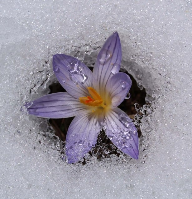Ольга Суркова | Москва
