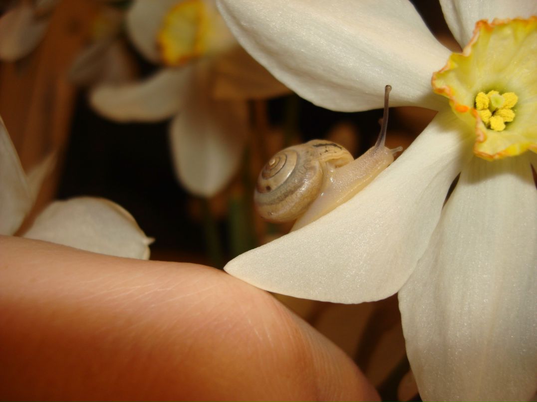 Ирина Ульянова | Одесса