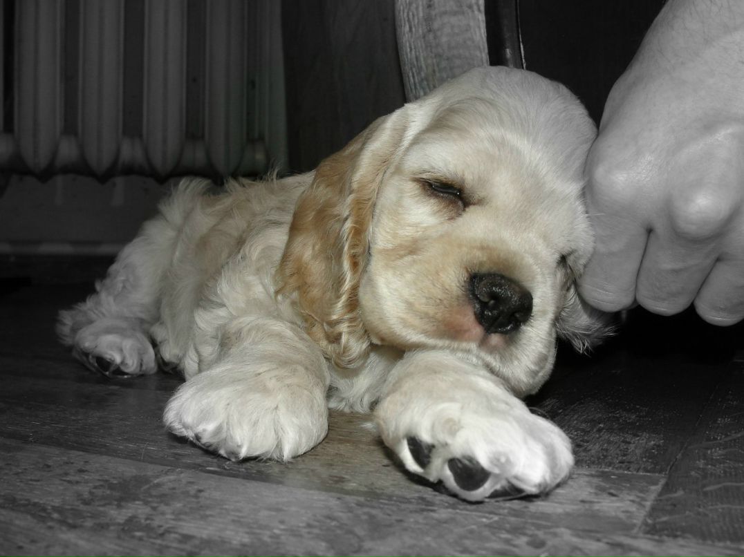 Виктория Кудрявцева | Сочи