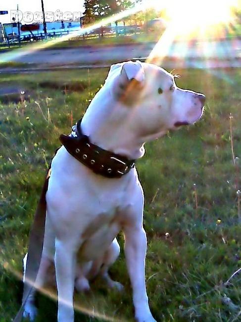 Татьяна Николаева | Санкт-Петербург