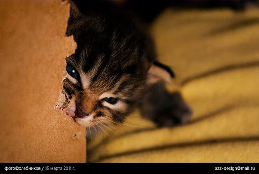 Наталия Складчикова | Санкт-Петербург