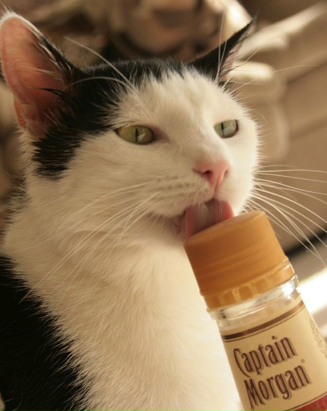 Даниил Сазанович | Верхняя Пышма