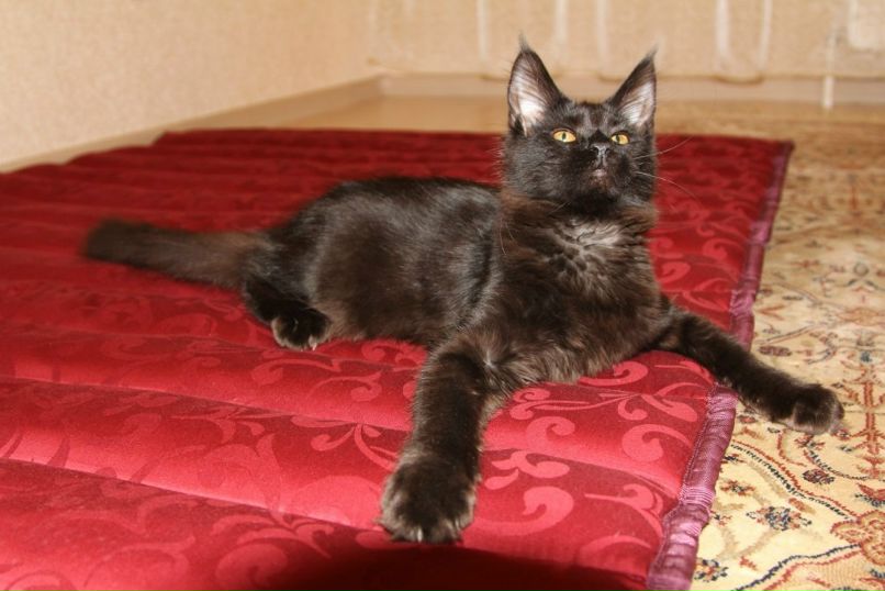 Вера Доронина | Сыктывкар