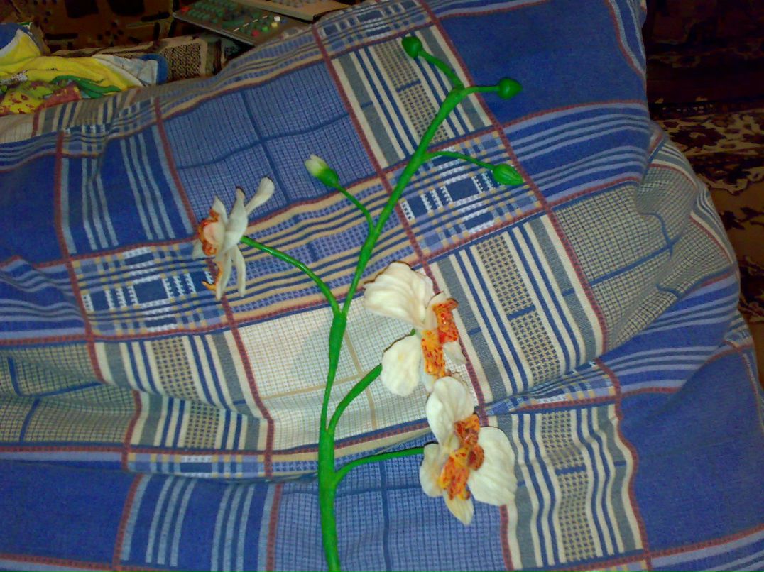 Диана Справедливая | Селидово