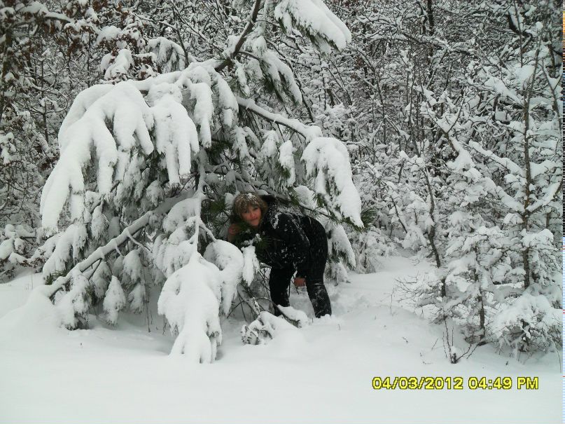 Елена Волкова | Бахчисарай