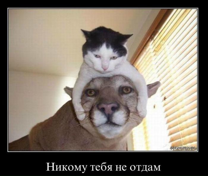 №29, Ирина Шишлова, 41 год, Москва №29, Ирина Шишлова, 41 год, Москва