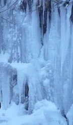 Людмила Ломака | Краснодар