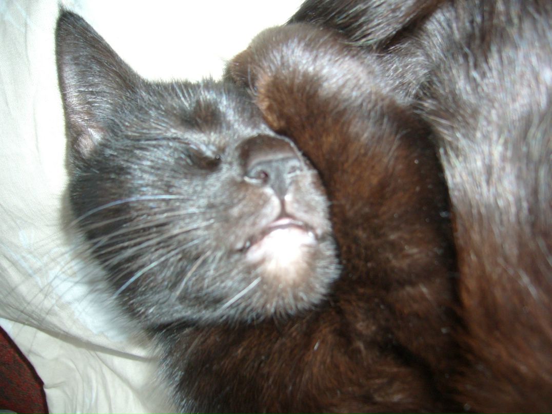 Володимир Кузнецов | Стрый