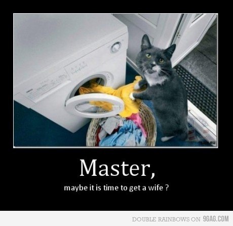 Слава Мережко | Львов