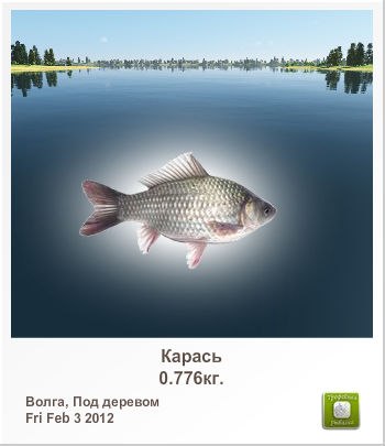 Геннадий Горячев | Череповец