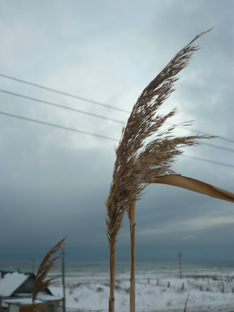 Анастасия Долматова | Хабаровск