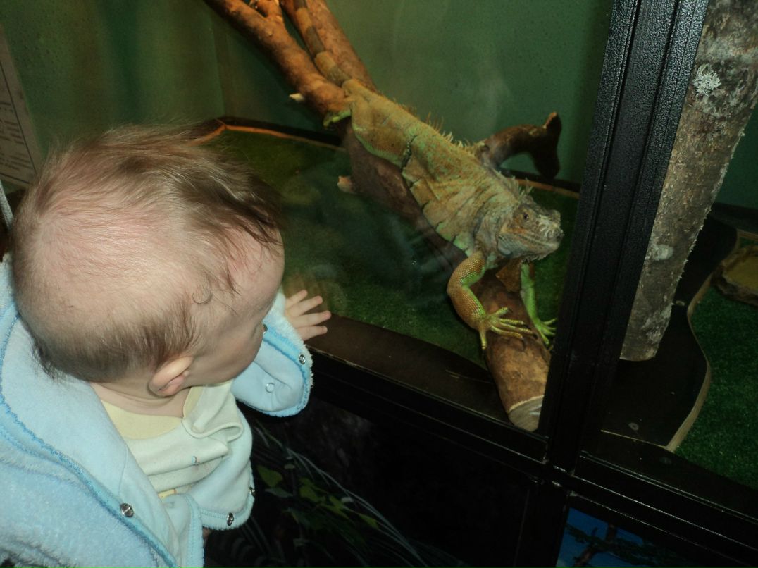 Вячеслав Трофимовский | Санкт-Петербург