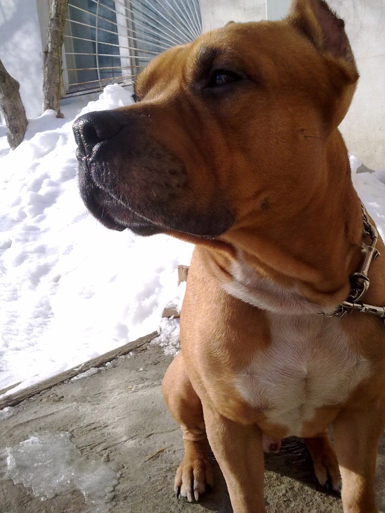 Юра Потапов | Сыктывкар