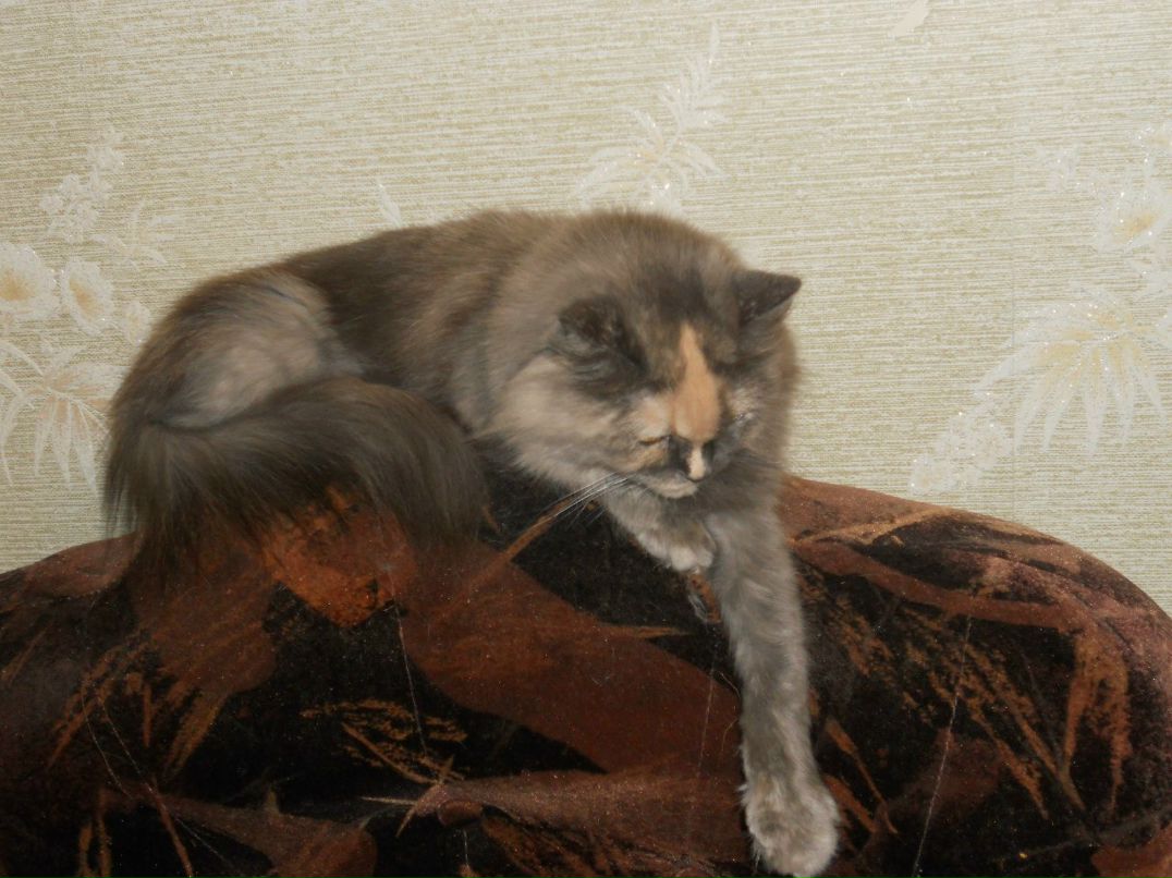 Инга Сичкарь | Мончегорск