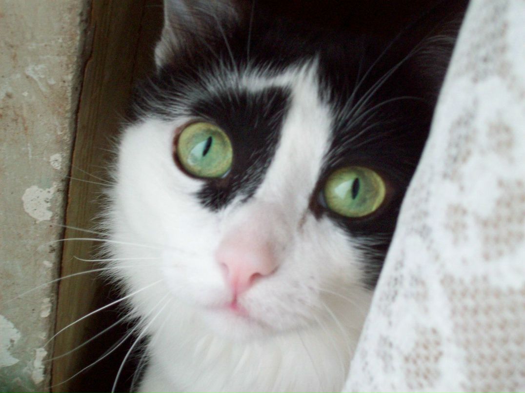 Андрей Лейчёнок | Кострома